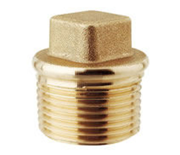 Picture of PLUG BRASS 1/2"