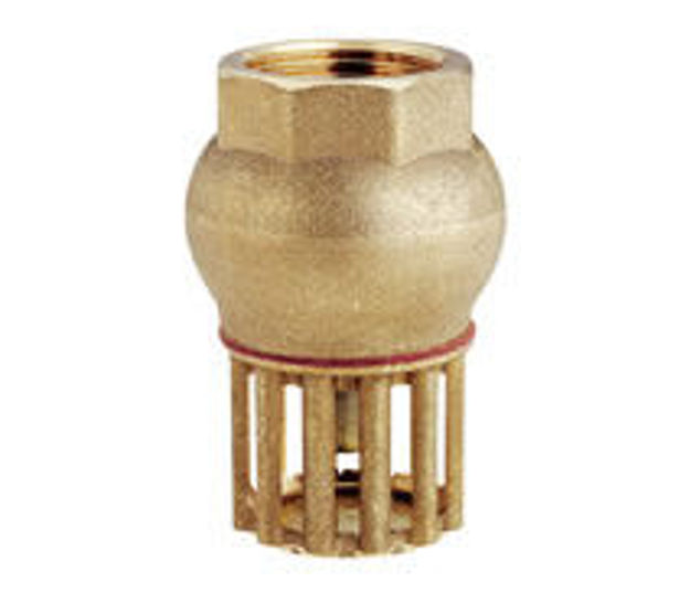 Picture of FOOT VALVE "F" brass