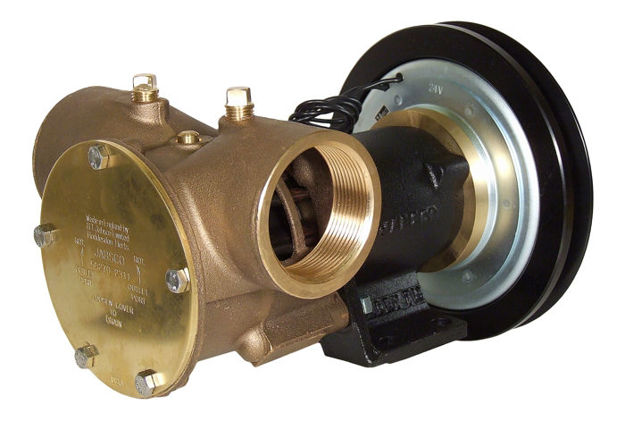 Picture of Bronze pump 2" - 24V